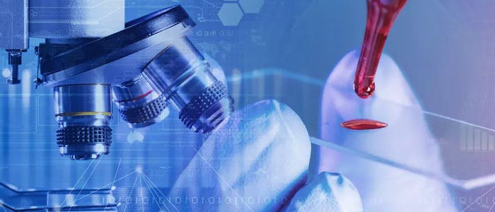 凯发K8国际网络+银丰生物集团 打造科研创新“加速度”